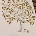 RESERVED (for billyodom) RUSH Guest book fingerprint Great Oak tree hand drawn - size MEDIUM (guestbook drawing with 2 ink pads)