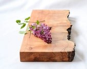 Burl Burst Natural Edge Serving Tray or Wood Centerpiece 624