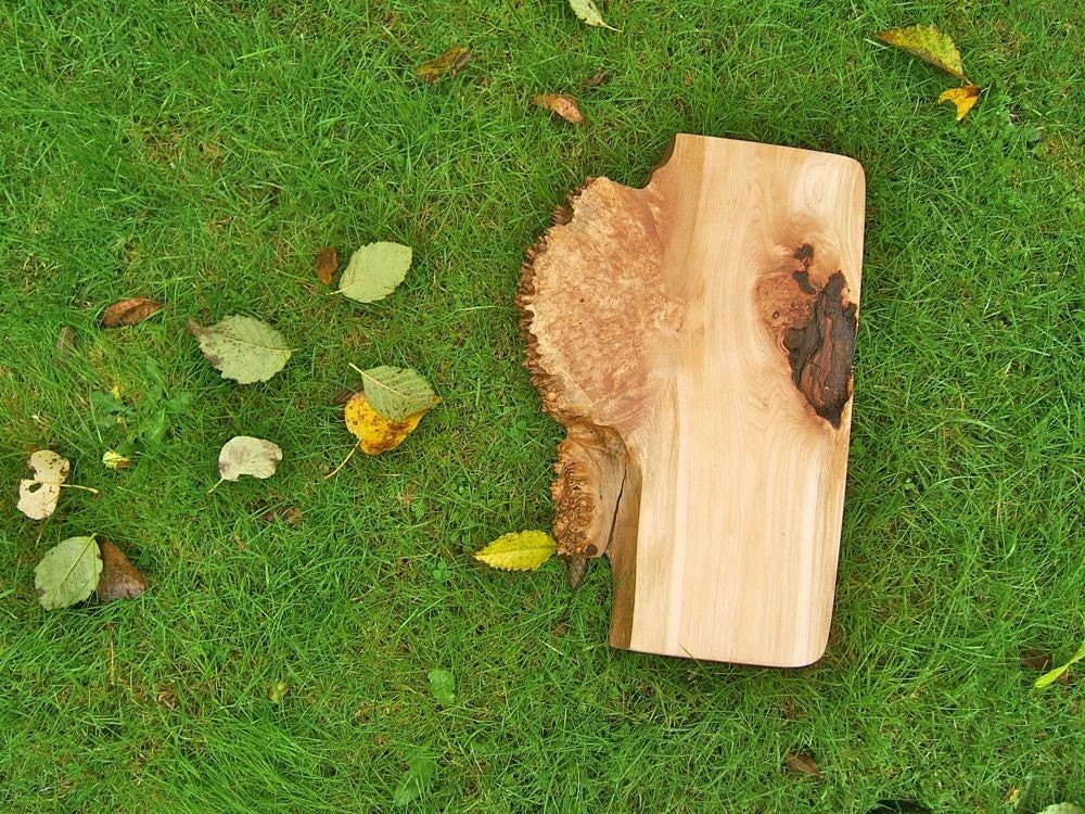 Burl Burst, Natural Edge Maple Serving Tray 191