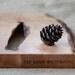 Organic Original, Natural Edge Salvaged Maple Serving Tray 592