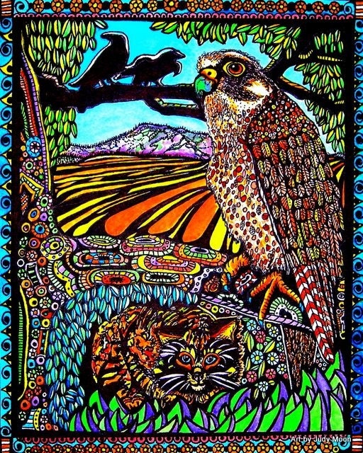 Red Tailed Hawk Spies a Bobcat - 8x10 print