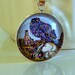 Gothic, Celtic, Fantasy - Painted Raven on Skull - 1 inch round silver plated pendant with glass cabachon on Silver Serpentine chain NECKLACE