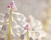 springtime flowers photography, 8x8 nature photography print, flower, pastel, pink, lavender blush, dusty purple, bokeh, spring wall decor