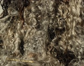 NATURAL GREY LOCKS from  Gotland Lambs 1.76oz./50gr