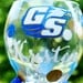GSU Georgia Southern University Eagles Personalized Name Graduation Class of 2012 College High School Wine Glass