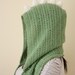 Dinosaur Hodded Scarf with Pockets