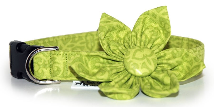 Celadon Dog/Cat Collar and Matching Flower Set