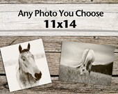 Any 11x14 Print, Fine Art Equestrian and Nature Photography, 11x14 Photograph