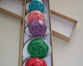 Chocolate Roses Bloomed