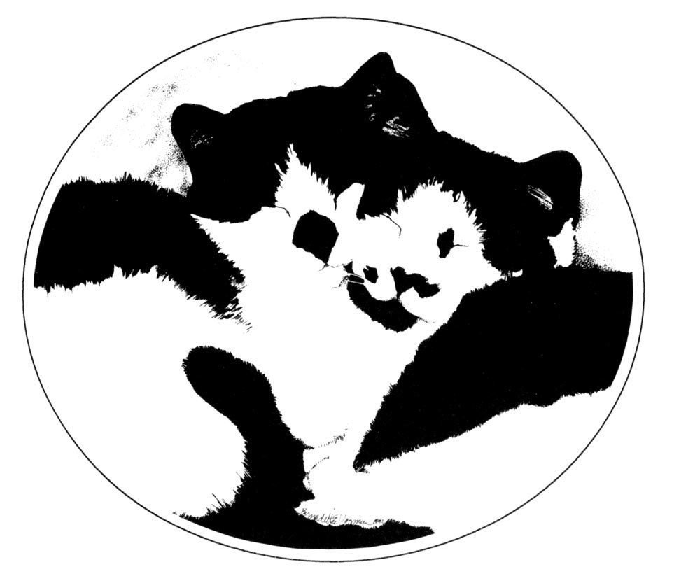 I Like Your Spots, Gold and Violet Framed Cat Print