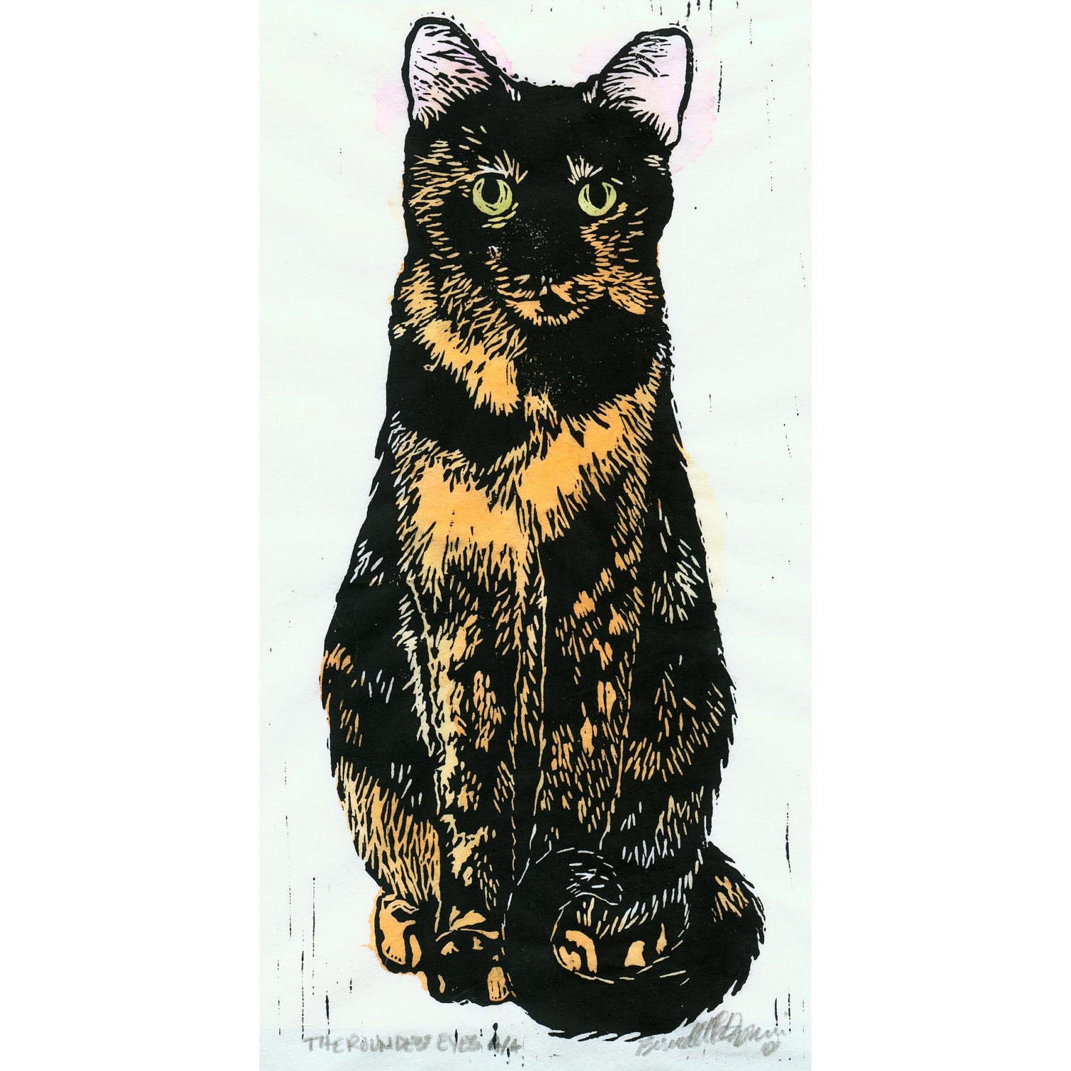 The Tortie Cats Set, The Roundest Eyes