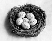 Gifts for Mom - Personalized Gift - Family Nest with custom name eggs - 8x10 Print