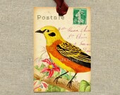 Bird Digital Collage Sheet - Postcard Printable Image for Gift Tags Decoupage Altered Art - Download No.292