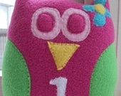 1st Birthday Owl - Hot Pink and Green Plush Owl - Owl Birthday Gift