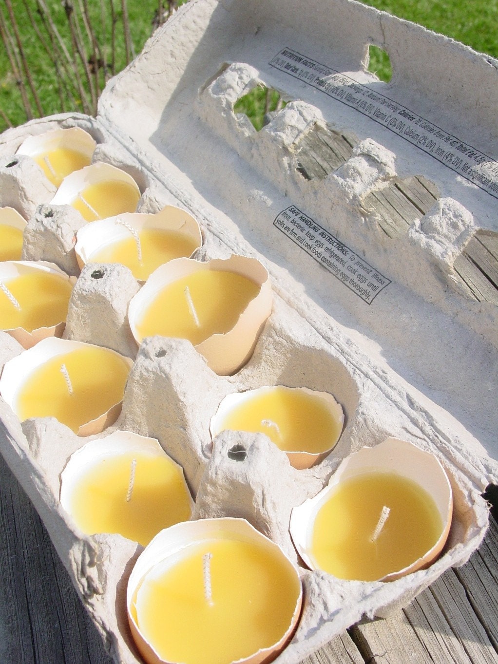 Pure Beeswax Farm Fresh Eggshell candles-half dozen
