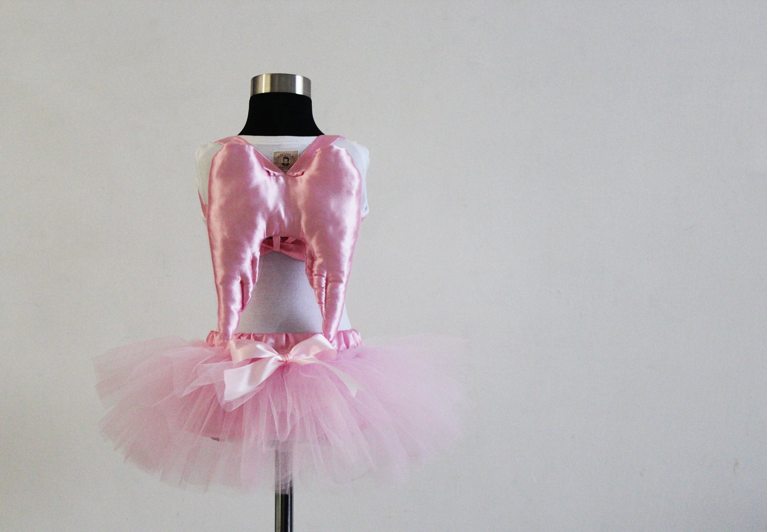Pink wings in vintage style  photo prop