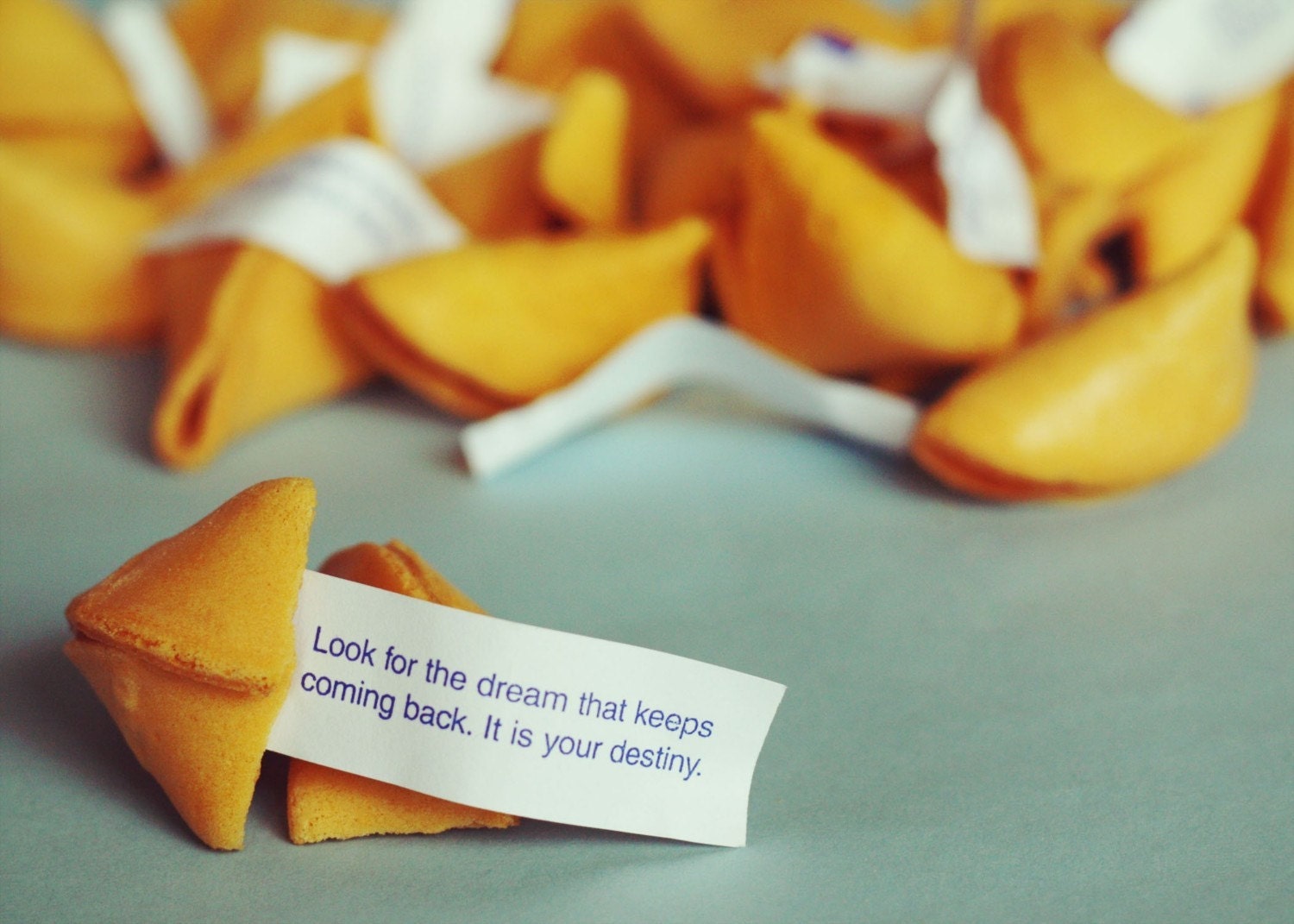 fortune cookies, 8 x 10 photograph, home decor, blue, yellow, brown, dream