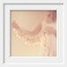 pink, 8 x 8 photograph, home decor, feminine, for her, nursery childrens wall art,