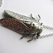 cicada necklace - silver