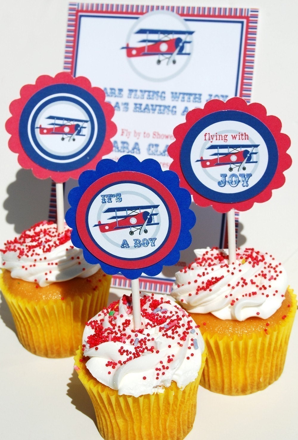 Vintage Bi-Plane Printable Party Circles
