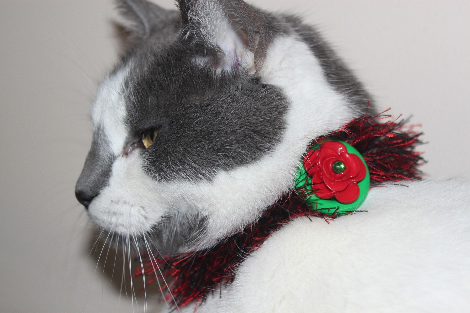 Bonita Mamacita Kitty Collar