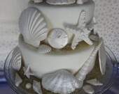 edible sea shells with sand pearl white set of 55