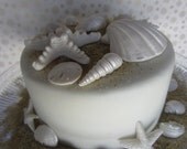 edible sea shells with sand set of 18 pearl white