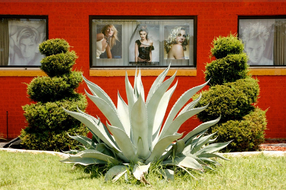 Hair Salon in Dallas, 2009