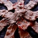 Choclate Covered Candied Bacon Gift Pack