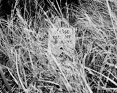Keep Off the Dunes - Gay's Head, MV