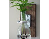 Modern Bottle Sconce. Industrial Hanging Vase. Unique glass plant holder