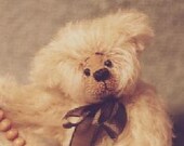 Ted - pattern by Monica Spicer - FREE SHIPPING  - PDF files