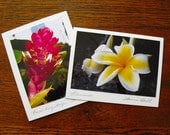Hawaiian Flower Photo Note Cards, Photo Note Cards Signed by Artist, Hawaiian Florals, Tropical Flower Photography, Hawaiian Photography