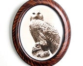limited edition framed snow owl photograph