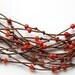 on Vacation / Eco Friendly Necklace - Multi Strand Necklace - Natural Polished Brown Hemp -  Orange Red Beads - Bird Nest Fiber Jewelry TAGT