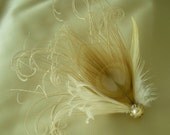 ivory peacock feather  fascinator