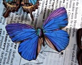 No. 6 Wooden Butterfly Magnet - One Dark Blue and Purple Color Laser Cut Insect
