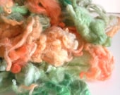 CLEARANCE Wild and Soft hand dyed Fine Merino Lamb wool fleece - 30 gr / 1 oz