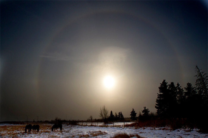 Sun Dog Photo, Weather Photography Print, Winter Photo Halo Winter Crystals Horses