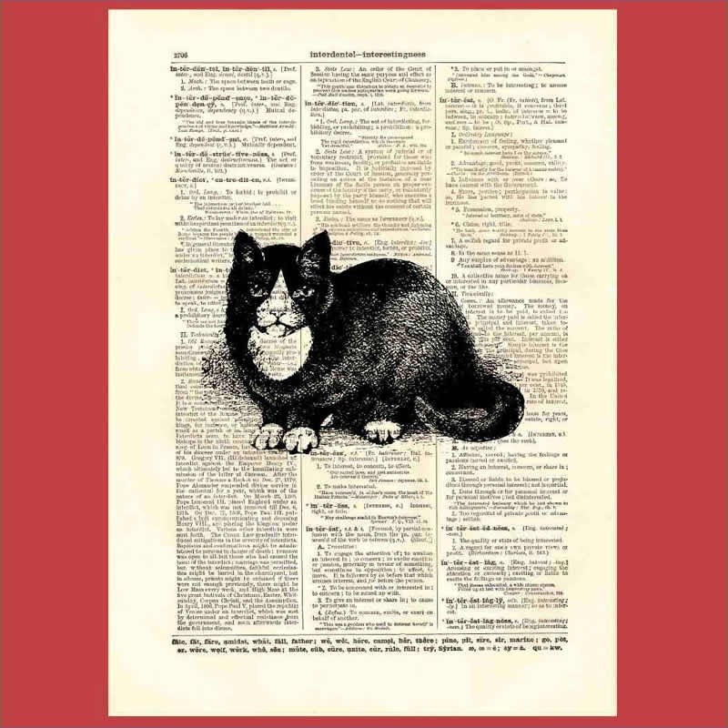 Coy Black and White Cat (cat06) - upcycled 8x10 1898 dictionary page print - BONUS - Buy 3 Prints, Get 1 More For FREE