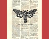 Upcycled art: Altered Antique Dictionary Page. Deja vu Death's-Head Moth - BONUS - Buy 3 Prints, Get 1 More For FREE