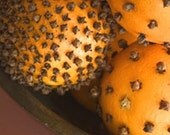 6 ORANGE CLOVE Candle Tarts Spicy Goodness  oldhickorycandles