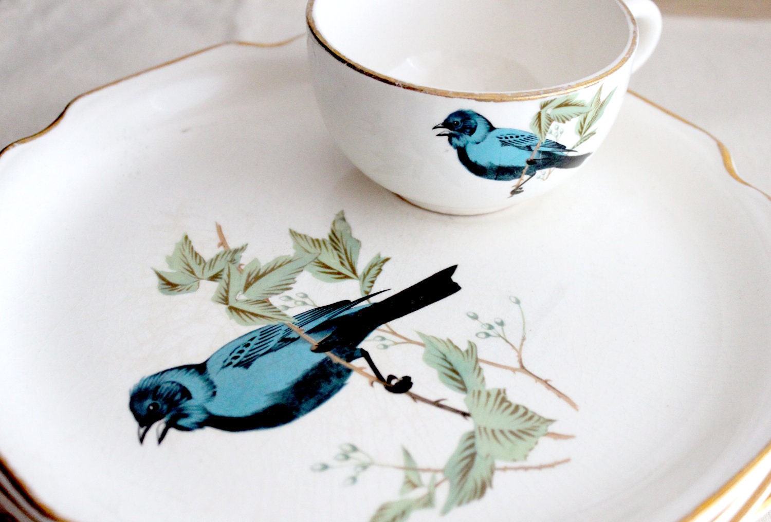 Vintage Bird Plates - Set of 4 plus bonus cup