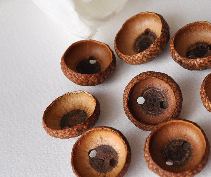 Acorn Cap Buttons . . . Set of 12 Wooden Buttons ... 2 holes ... 13/16 inches