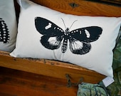 Mirabella Moth Pillow Cover