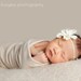 Vanilla Delight Delphinium Flower with Cream Pearl Center Headband Photography Props