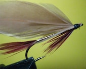 Fly fishing lure, Streamer, clear water is best, Brown, Red Feathers