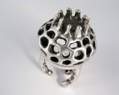 radiolaria