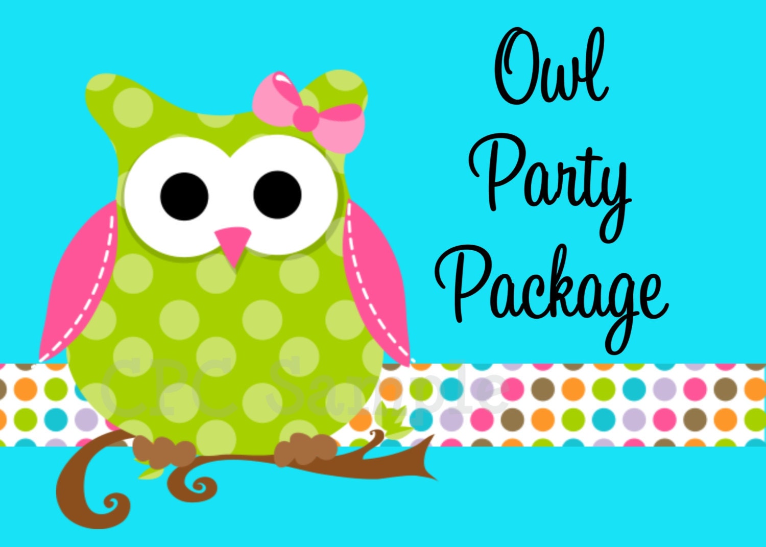 Owl Birthday Party Package, Owl Birthday Invitation and Party Decorations, CHOOSE ANY 6 ITEMS, Printable Il_570xn