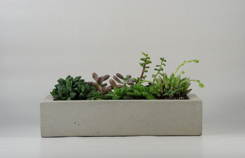 Concrete Tray